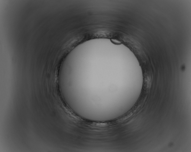 X0000097800665200803140737