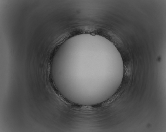X0000097800666200803140737