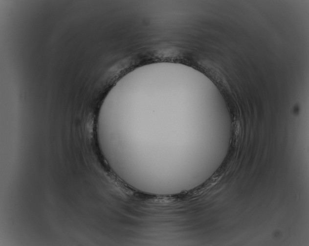 X0000097800668200803140737