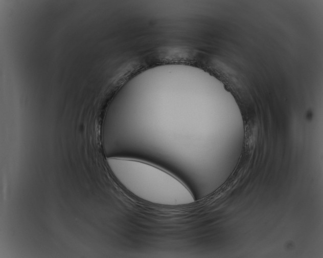 X0000097800669200803140737