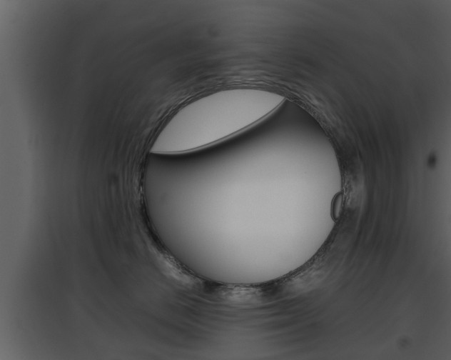 X0000097800670200803140737