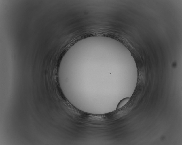 X0000097800671200803140737