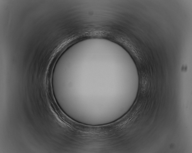 X0000097800674200803140737