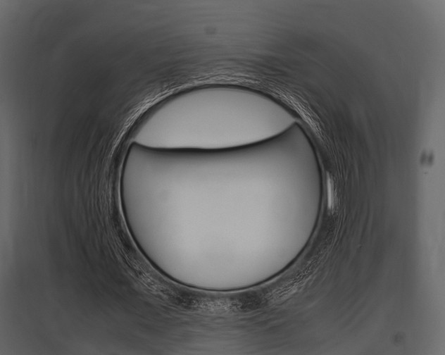 X0000097800675200803140737