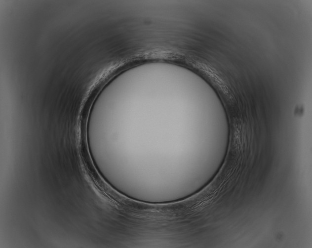 X0000097800678200803140737