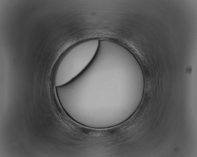 X0000097800679200803140737