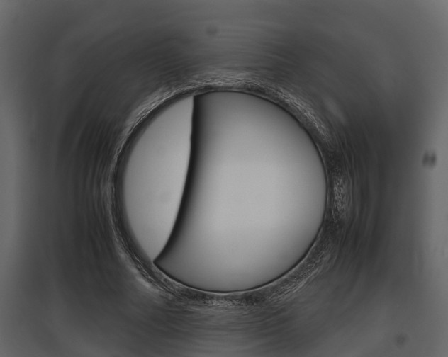 X0000097800682200803140737