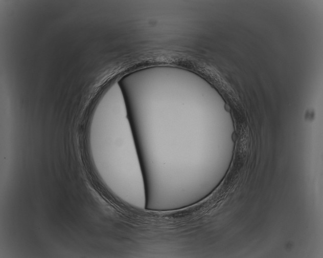 X0000097800683200803140737