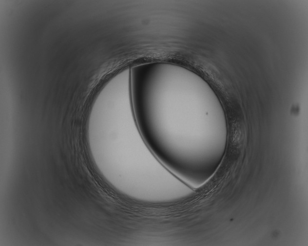 X0000097800685200803140737