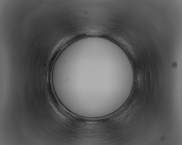 X0000097800686200803140736