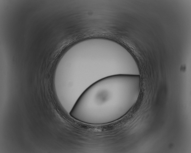 X0000097800687200803140736