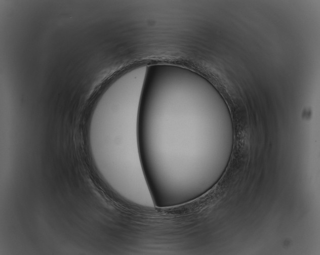 X0000097800688200803140736