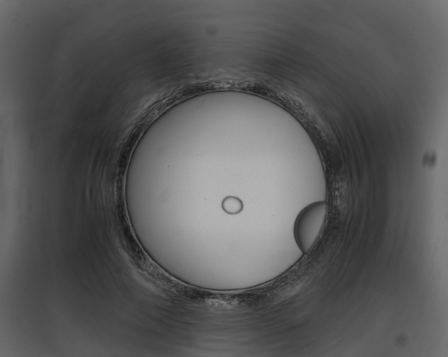 X0000097800690200803140736