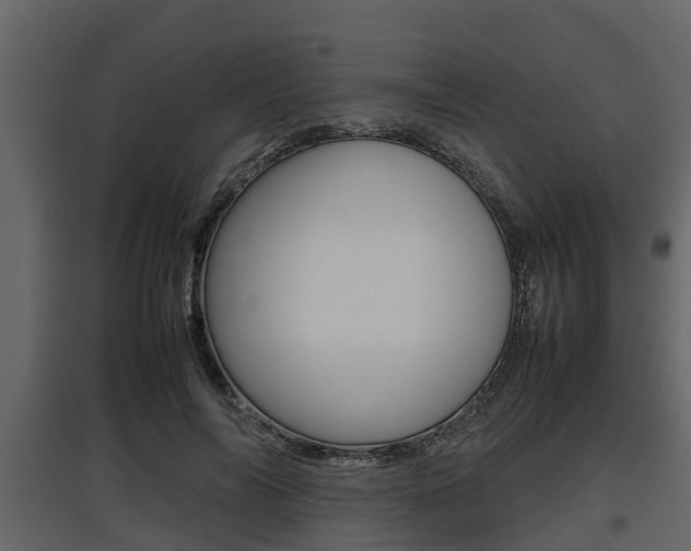 X0000097800694200803140736