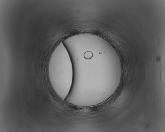 X0000097800695200803140736