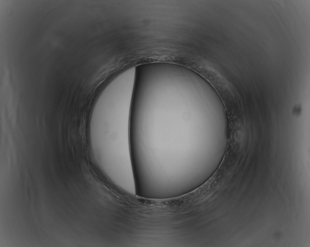 X0000097800696200803140736