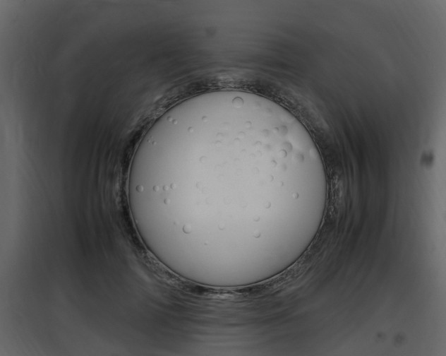 X0000097800698200803140736