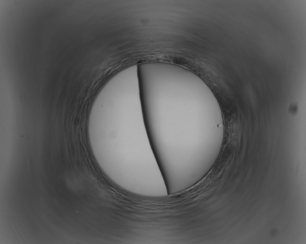 X0000097800699200803140736