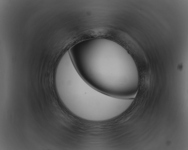 X0000097800700200803140736