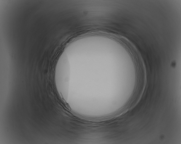 X0000097800701200803140736