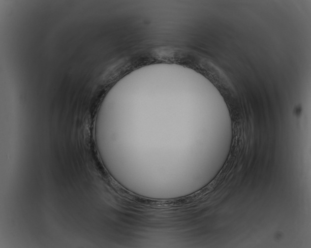 X0000097800702200803140736