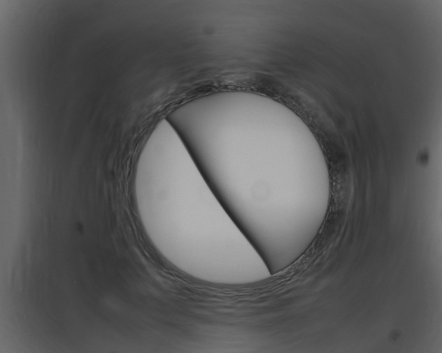 X0000097800703200803140736