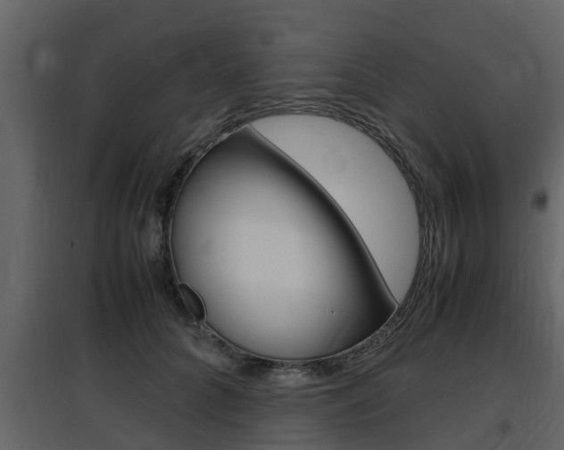 X0000097800704200803140736