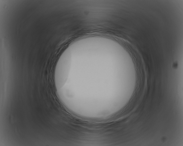 X0000097800705200803140736