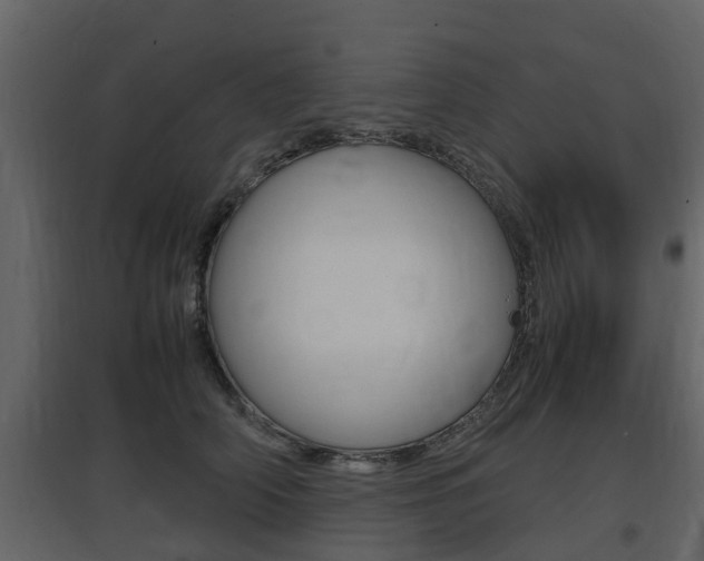 X0000097800706200803140736
