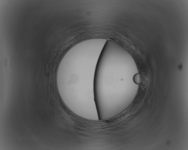 X0000097800707200803140736