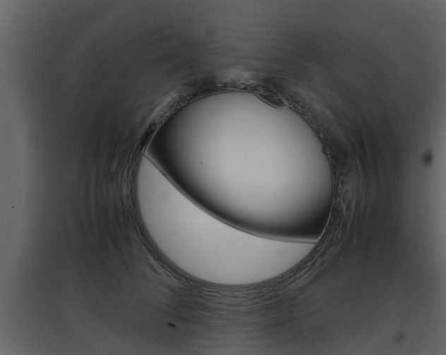 X0000097800708200803140736