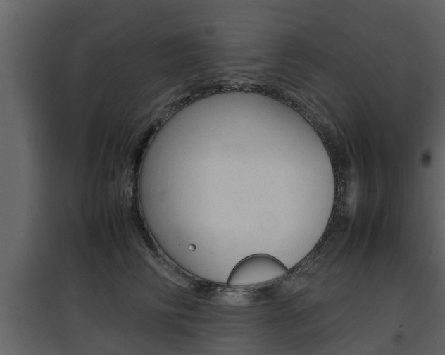 X0000097800710200803140736