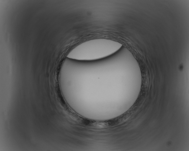X0000097800711200803140736