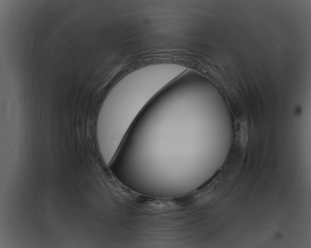 X0000097800712200803140736