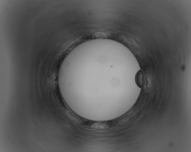 X0000097800714200803140736