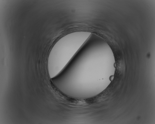 X0000097800715200803140736