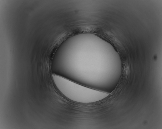 X0000097800716200803140736