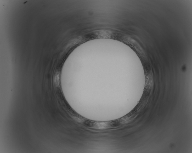 X0000097800717200803140736