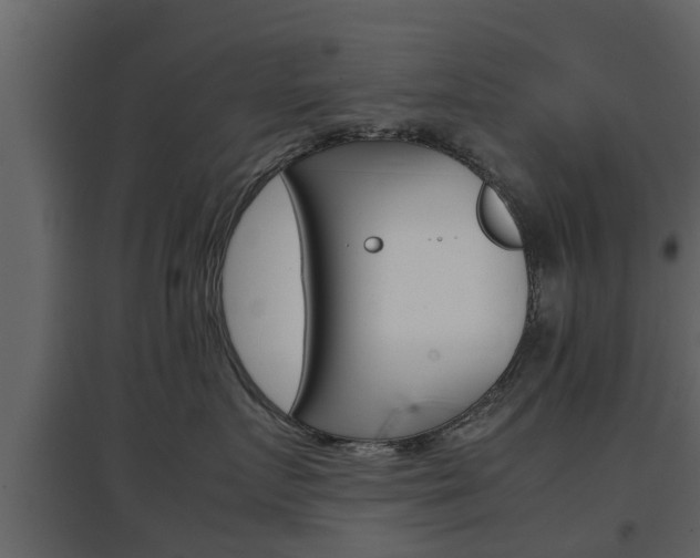 X0000097800719200803140736