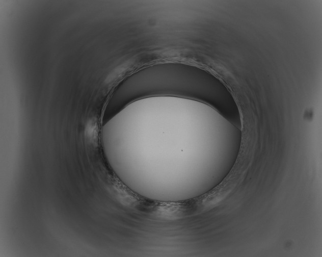 X0000097800720200803140736