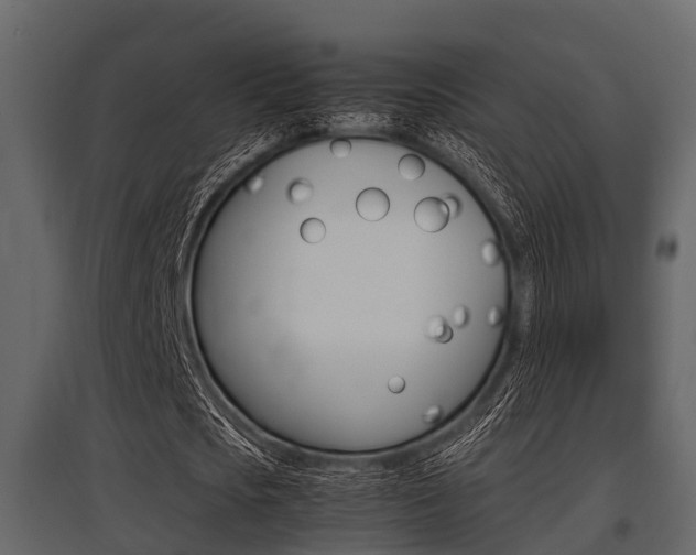 X0000097800721200803140735