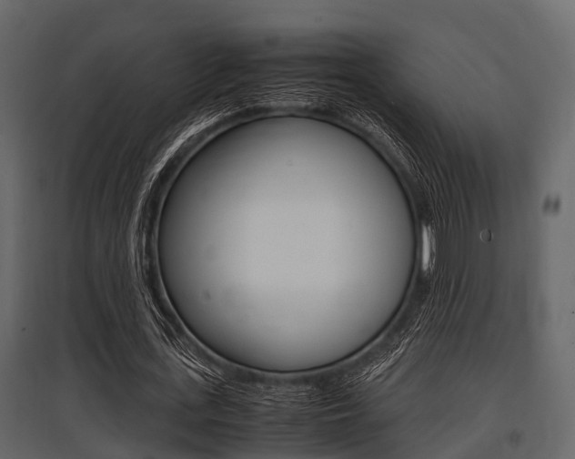 X0000097800723200803140735