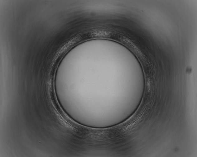 X0000097800725200803140735
