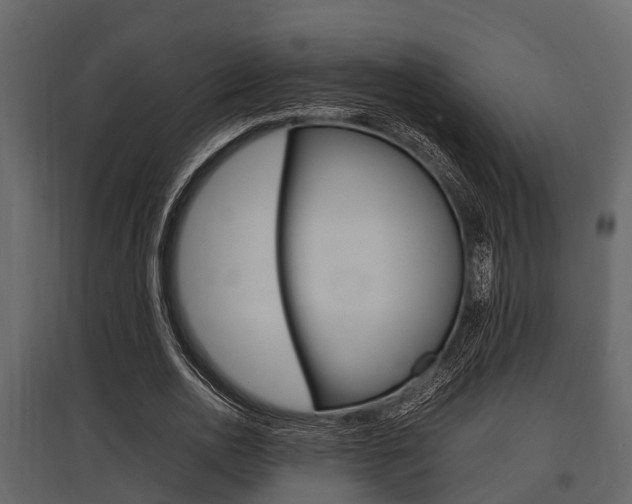 X0000097800726200803140735