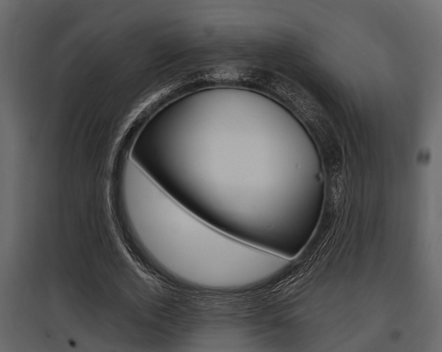 X0000097800728200803140735