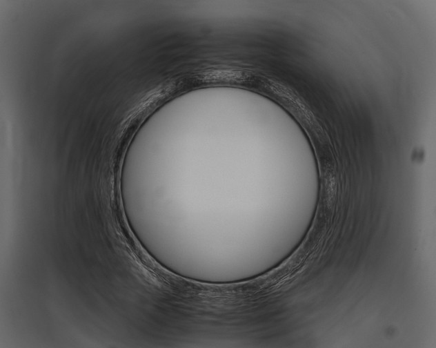 X0000097800729200803140735