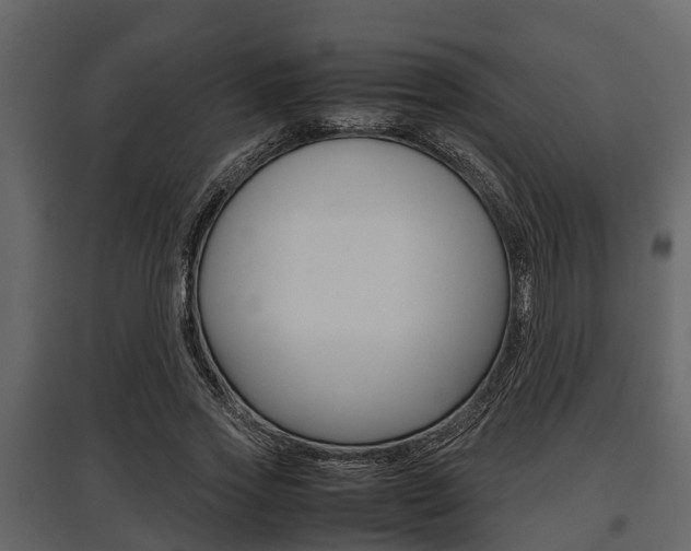 X0000097800733200803140736