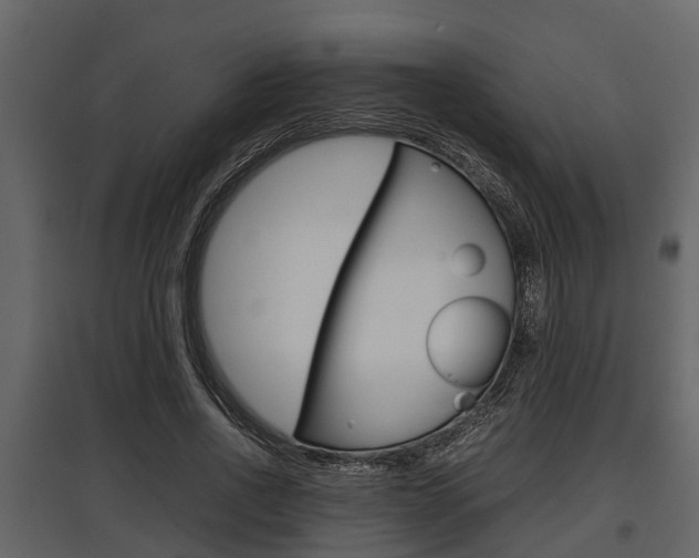 X0000097800734200803140736