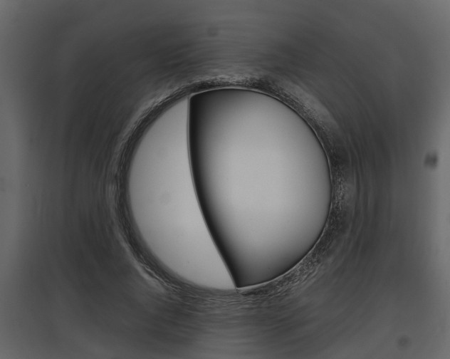X0000097800736200803140736