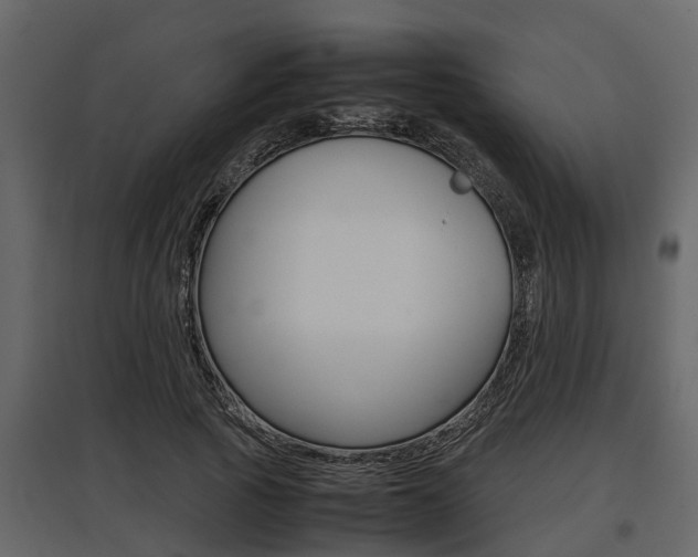 X0000097800737200803140736